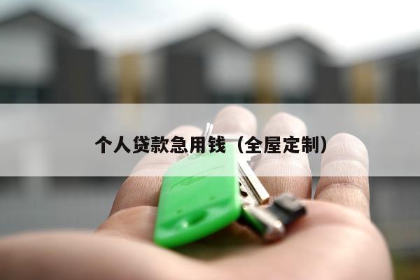 个人贷款急用钱（全屋定制）-第1张图片-POS资讯网