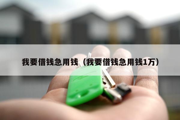 我要借钱急用钱（我要借钱急用钱1万）