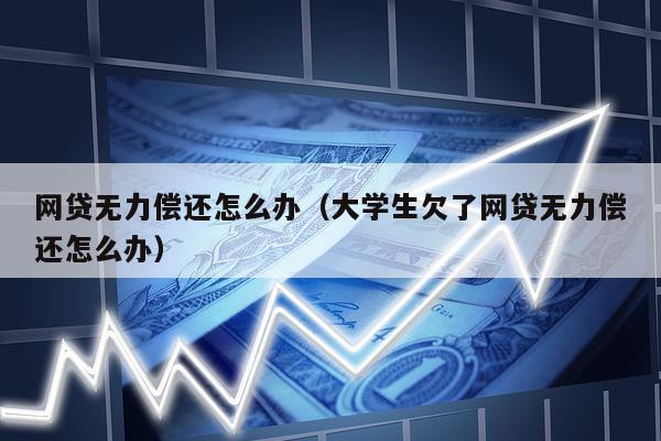 网贷无力偿还怎么办（大学生欠了网贷无力偿还怎么办）