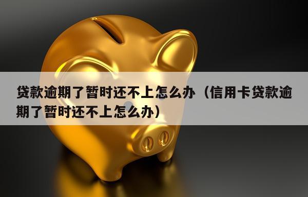 贷款逾期了暂时还不上怎么办（信用卡贷款逾期了暂时还不上怎么办）