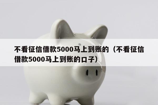 不看征信借款5000马上到账的（不看征信借款5000马上到账的口子）
