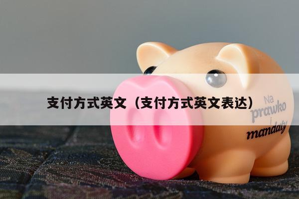 支付方式英文（支付方式英文表达）
