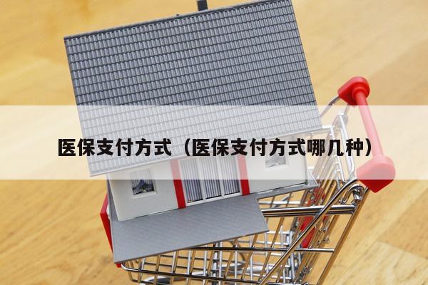 医保支付方式（医保支付方式哪几种）